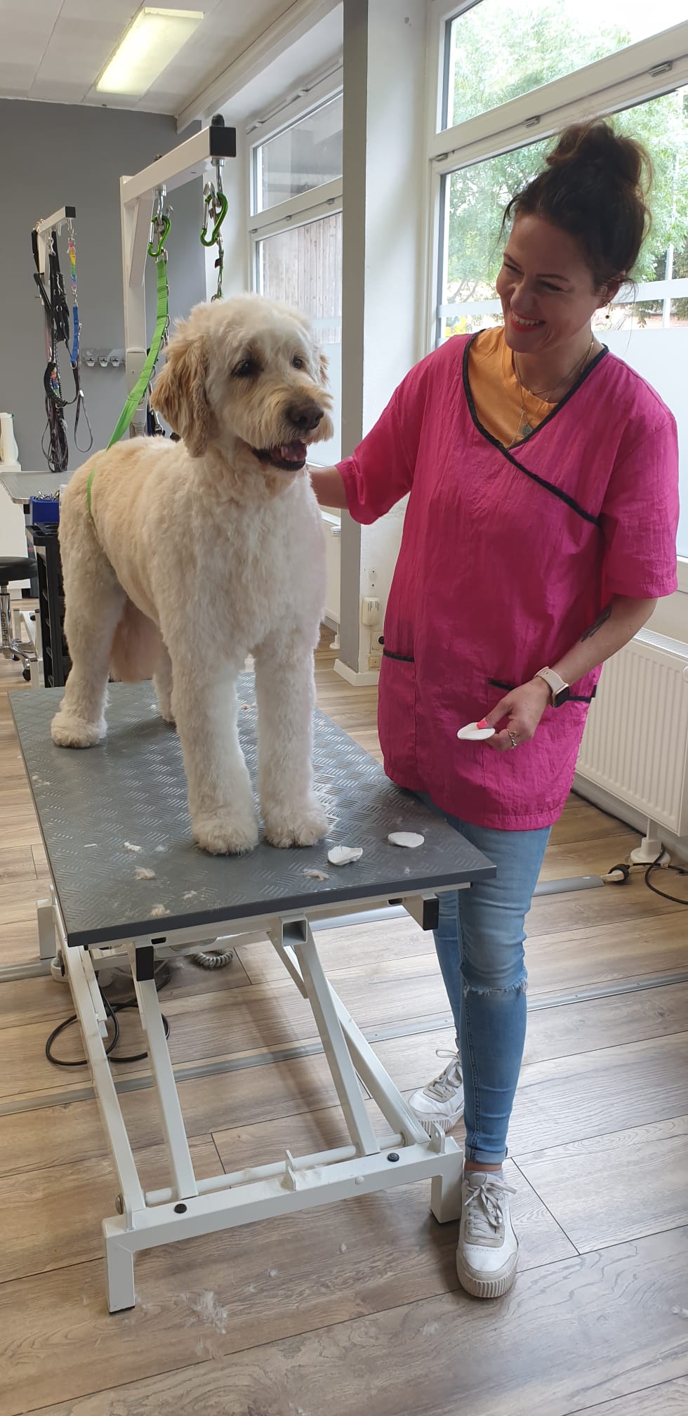 Ausbildung Hundefriseure Freie Plätze Neue Termine