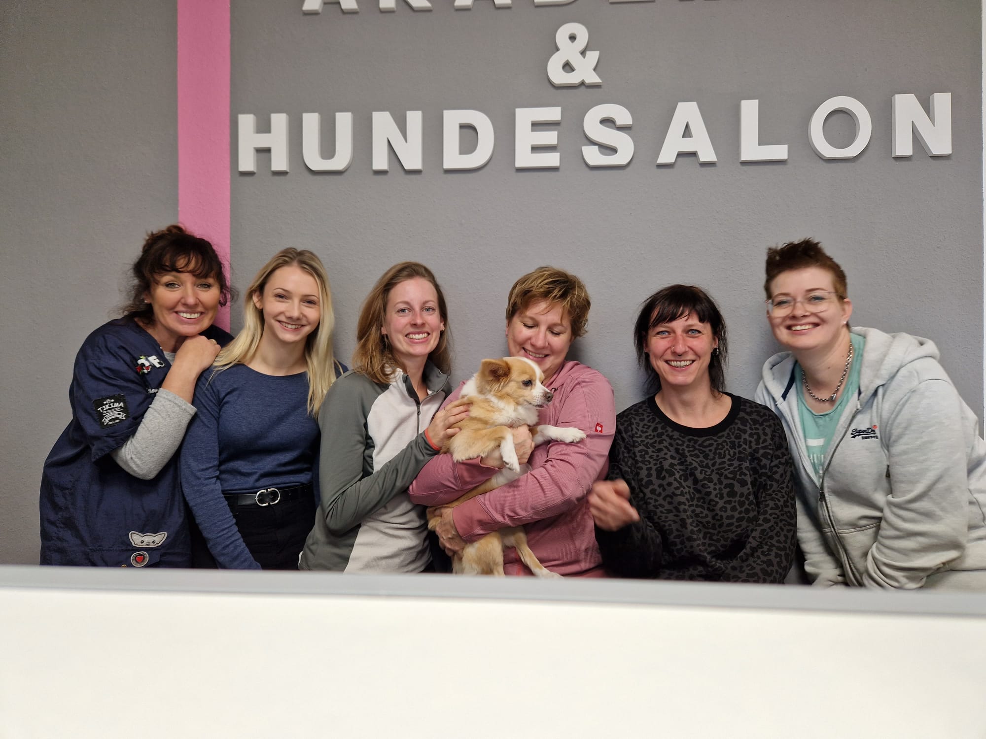Hundefriseur In Der Nähe Online Termin Ausbildung Hundefriseure - Freie Plätze - Neue Termine